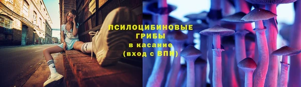 бутират Алзамай
