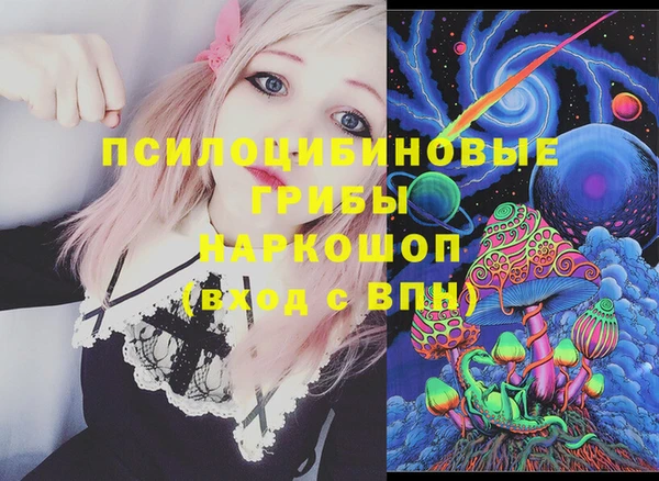 spice Алексин