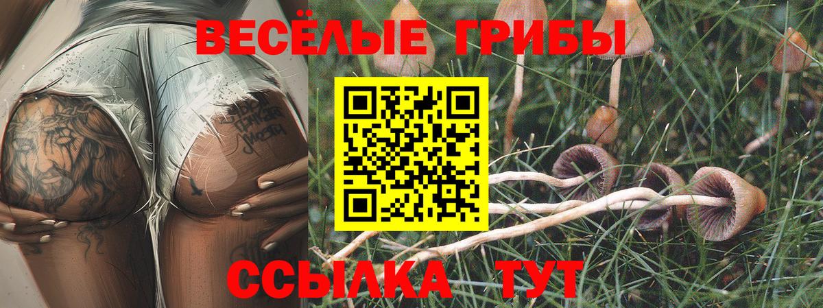 Нефтекамск  Галлюциногенные грибы Magic Shrooms  Вход с VPN  Псилоцибиновые грибы Cubensis 